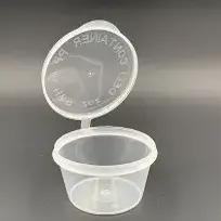 Hinged Container