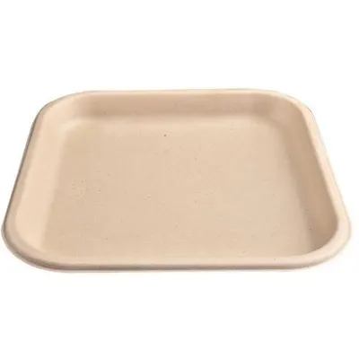 Chuk 7" SQ Plate