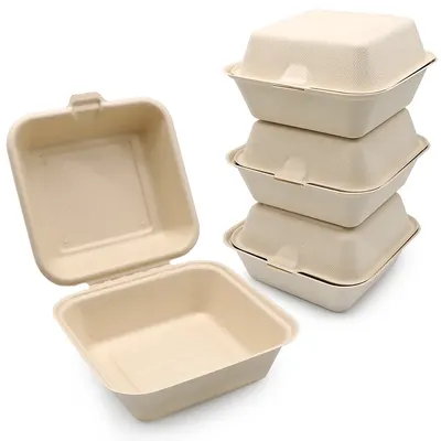 Biodegradable 6x6 Clamshell Box