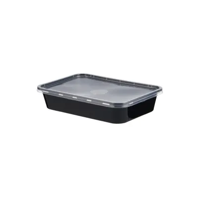 BT Container & Lid 500 Rectangular