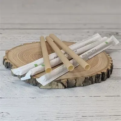 Compostable Straw Wrapped
