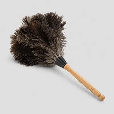 Feather Brush