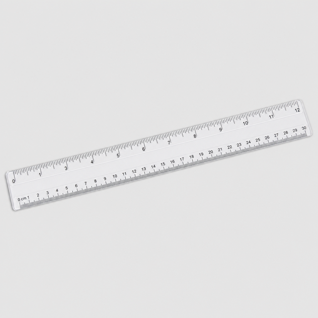 Scale 12"